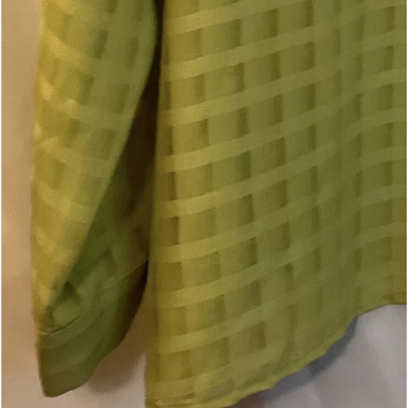 Liz Baker Women's Lime Green Long Sleeve Blouse Size 18 EUC Sheer - Picture 4 of 10